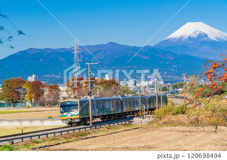 【静岡県】残り柿ある田園地帯を走る伊豆箱根鉄道電車、後方に富士山 【静岡県】残り柿ある田園地帯を走る伊豆箱根鉄道電車、後方に富士山 120698494