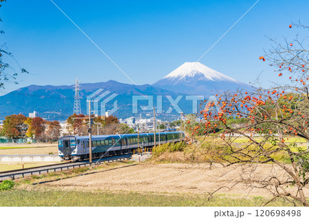 【静岡県】残り柿ある田園地帯を走る伊豆箱根鉄道電車、後方に富士山 120698498