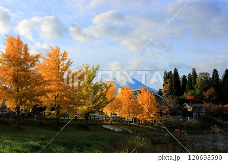 秋の河口湖周辺 秋の河口湖周辺 120698590