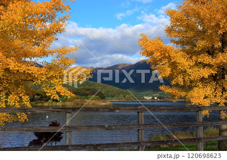 秋の河口湖周辺 120698623