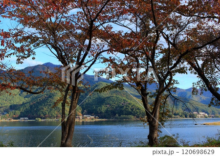 秋の河口湖周辺 秋の河口湖周辺 120698629