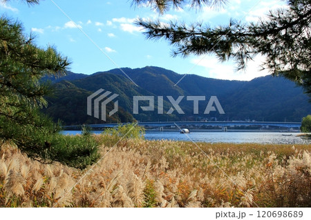 秋の河口湖周辺 秋の河口湖周辺 120698689