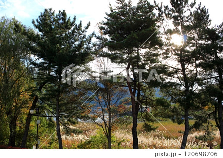 秋の河口湖周辺 秋の河口湖周辺 120698706