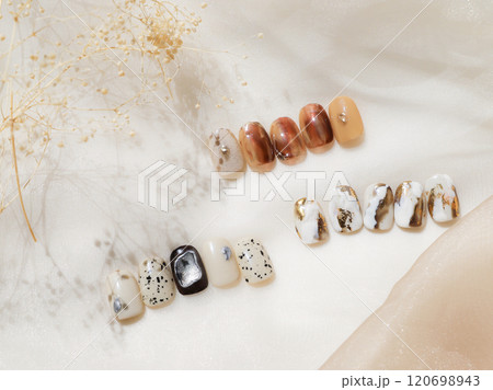 ネイルチップ ネイルチップ 120698943