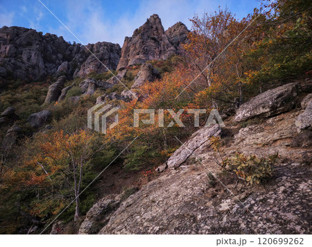 Evening autumn forest. Crimean landscape. Evening autumn forest. Crimean landscape. 120699262