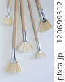 White Natural Bristle Paint Brushes on Light Background 120699312
