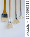 White Natural Bristle Paint Brushes on Light Background 120699313