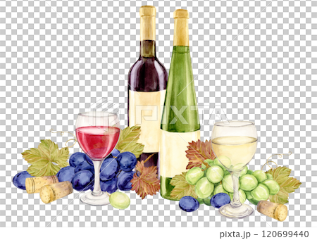 Composition with wine bottles and grape vines. Red and white wine in glasses. Green and blue grapes lie on the table. Watercolor illustration for restaurant menu, wine list. Composition with wine bottles and grape vines. Red and white wine in glasses. Green and blue grapes lie on the table. Watercolor illustration for restaurant menu, wine list. 120699440