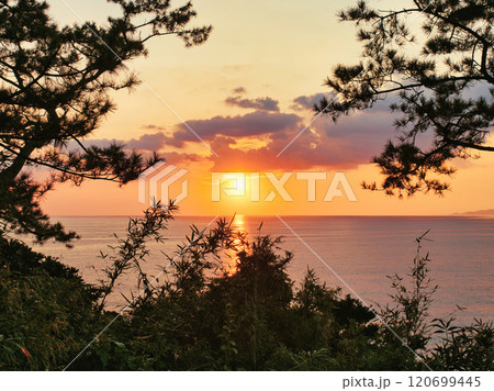 鹿児島県瀬平自然公園の夕景 鹿児島県瀬平自然公園の夕景 120699445