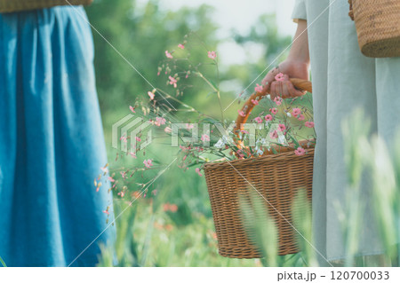 フラワーバスケットで花摘み フラワーバスケットで花摘み 120700033