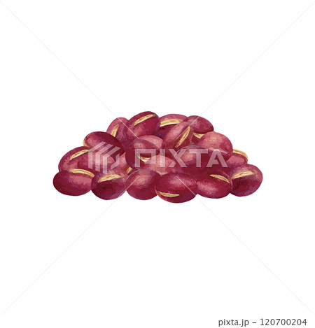 水彩手書きのあずきのベクターイラスト 水彩手書きのあずきのベクターイラスト 120700204