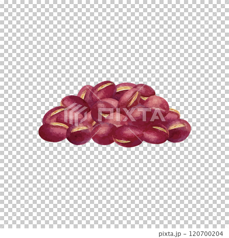 小豆水彩手繪向量圖 120700204