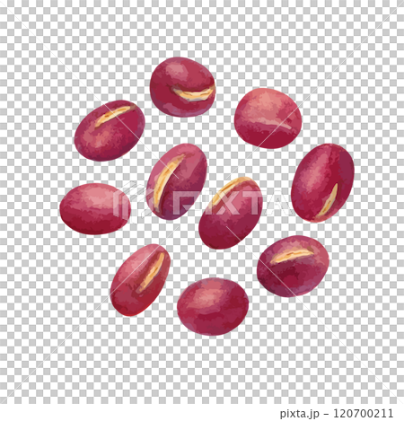 水彩手書きのあずきのベクターイラスト 120700211