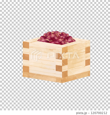 水彩繪製的正方形中紅豆的向量圖解 120700212