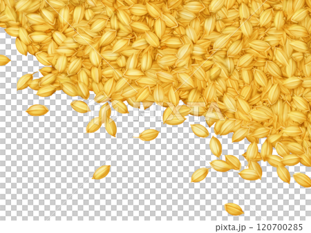 框架背景，散落稻米、稻米、稻殼、穀物、收穫、金色 120700285