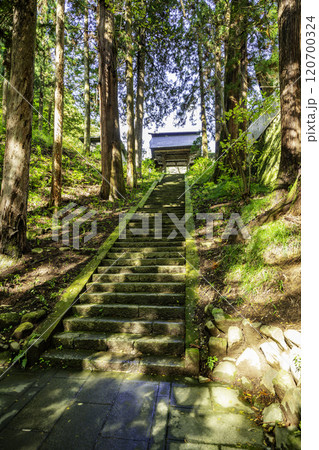 別所温泉　安楽寺　石段と山門　長野県上田市 120700324