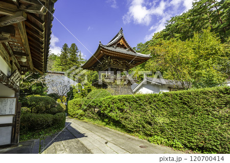 別所温泉 安楽寺 境内 長野県上田市 別所温泉 安楽寺 境内 長野県上田市 120700414