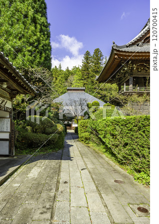 別所温泉　安楽寺　境内　長野県上田市 120700415