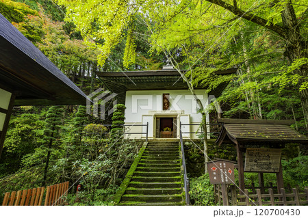 別所温泉　安楽寺　経蔵　長野県上田市 120700430