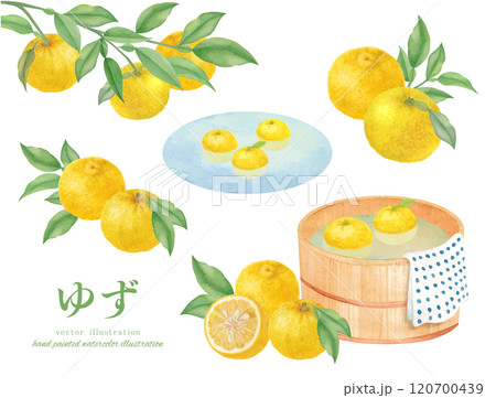 水彩手書きの柚子湯のイメージのベクターイラスト 120700439