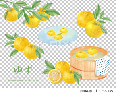 水彩手書きの柚子湯のイメージのベクターイラスト 120700439