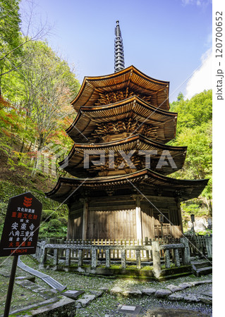 別所温泉　安楽寺　八角三重塔　長野県上田市 120700652