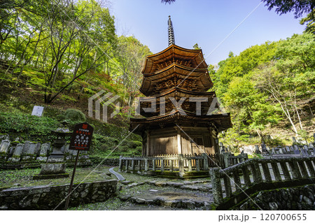 別所温泉 安楽寺 八角三重塔 長野県上田市 別所温泉 安楽寺 八角三重塔 長野県上田市 120700655
