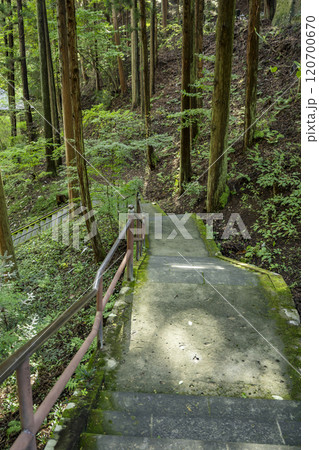 別所温泉　安楽寺　八角三重塔への参道　長野県上田市 120700670