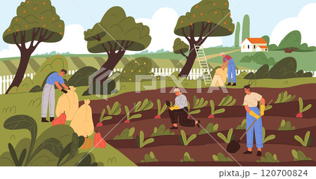 People or farmers working at plantation. Fruit and vegetable harvesting. Vector illustration or banner. Summer or autumn harvesting season. Countryside landscape. Farming and agriculture theme. People or farmers working at plantation. Fruit and vegetable harvesting. Vector illustration or banner. Summer or autumn harvesting season. Countryside landscape. Farming and agriculture theme. 120700824
