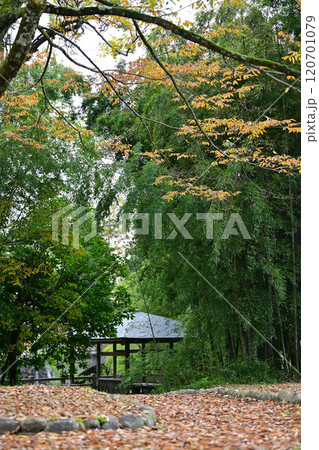 南砺市・大門川河川公園の紅葉 120701079