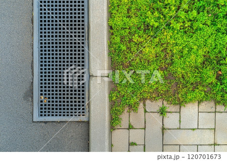 Iron grate of a drainage system for storm water drainage from a pedestrian sidewalk near a green lawn. Drain system installation. City metal grate and concrete street drain on the sidewalk of a road 120701673