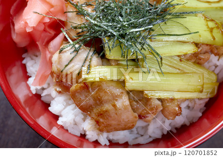 Chicken with rice and bamboo Chicken with rice and bamboo 120701852
