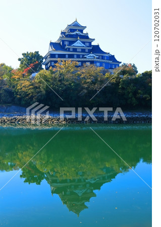 【岡山県】黄葉した岡山城と旭川（令和の大改修後） 120702031