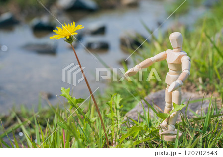 デッサン人形と秋の花【安曇野】 デッサン人形と秋の花【安曇野】 120702343