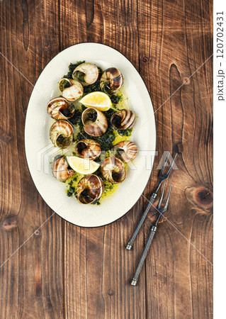 Baked snails in sauce, snail butter. 120702431