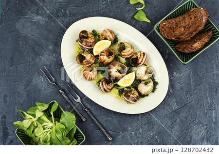 Escargot delicacy snails 120702432