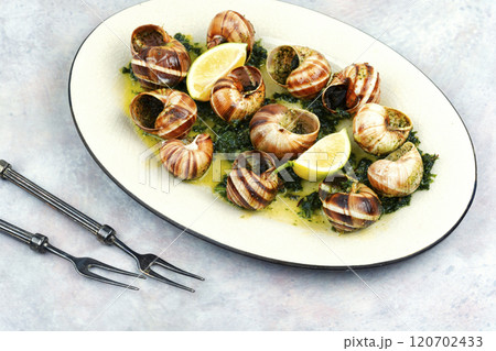 Baked snails with butter. 120702433