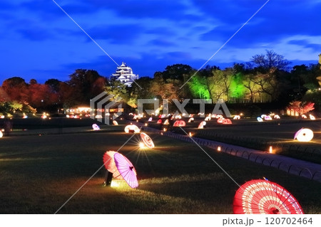 【岡山県】秋の幻想庭園（イルミネーション）後楽園と岡山城（令和の大改修後） 120702464