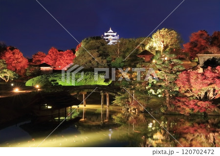 【岡山県】秋の幻想庭園（イルミネーション）後楽園と岡山城（令和の大改修後） 120702472