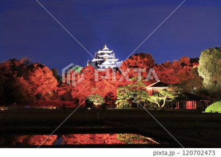 【岡山県】秋の幻想庭園(イルミネーション)後楽園と岡山城(令和の大改修後) 【岡山県】秋の幻想庭園(イルミネーション)後楽園と岡山城(令和の大改修後) 120702473