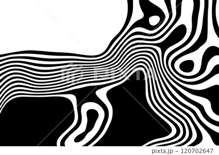 A high-contrast, black and white abstract pattern with sinuous, flowing lines creating a dynamic optical illusion.The lines twist and turn, forming swirls and loops of varying thickness. Eps 10 A high-contrast, black and white abstract pattern with sinuous, flowing lines creating a dynamic optical illusion.The lines twist and turn, forming swirls and loops of varying thickness. Eps 10 120702647