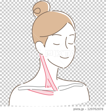 Sternocleidomastoid and subclavius muscles (unnamed) 120702878