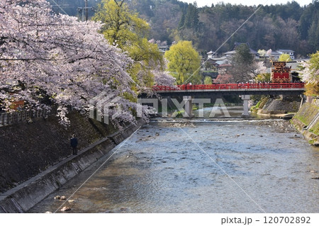 日本の岐阜県高山市　春の高山祭　満開の桜と中橋を渡る屋台　美しい新緑と青空と宮川 120702892