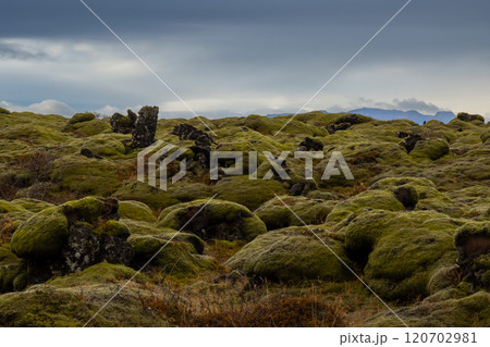 Lava field covered by moss, south Iceland Lava field covered by moss, south Iceland 120702981