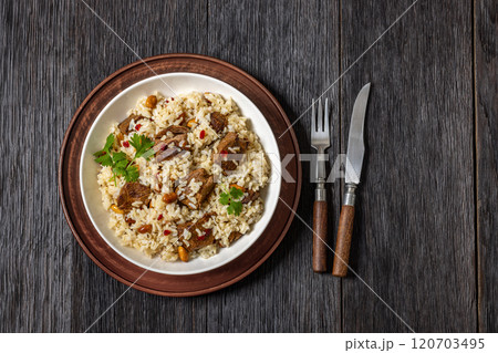 beef and rice in white bowl, top view beef and rice in white bowl, top view 120703495