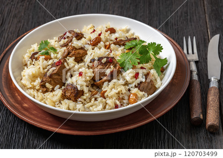 beef and rice in white bowl, top view beef and rice in white bowl, top view 120703499