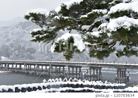 雪の降った朝の渡月橋 120703634