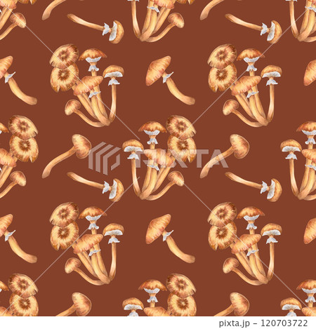 Seamless pattern of honey mushrooms. Watercolor and marker illustration. Hand drawn botanical background. Autumn harvest natural, culinary food ingredient. Backdrop for wallpaper, textile, wrapping Seamless pattern of honey mushrooms. Watercolor and marker illustration. Hand drawn botanical background. Autumn harvest natural, culinary food ingredient. Backdrop for wallpaper, textile, wrapping 120703722