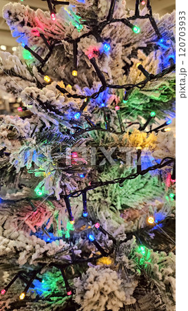 Christmas tree with branches covered with frost and flashing colorful lights 120703933