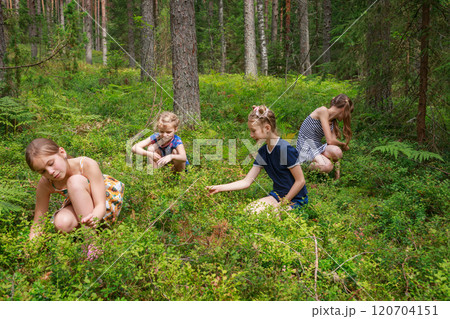 Children picking berries in a summer forest 120704151